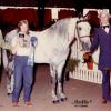 FROSTED PERFECTION  NATIONAL HI-POINT MODEL HORSE AND RESERVE INTERNATIONAL MODEL CHAMPION