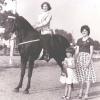 CONTENDER'S HOPE (AT TWENTY FOUR MONTHS OF AGE) AND SUSAN SHANK
TWHBEA YOUTH SUPERIOR CHAMPION
